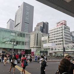 Wysiadamy z autokaru w Shinjuku