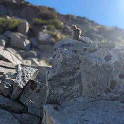 Trail friends