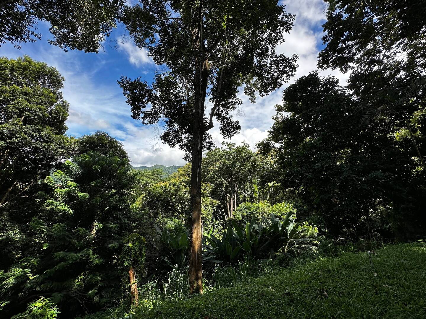 Aussicht vom Zimmer aus