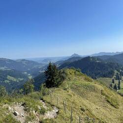 Gratweg Richtung Ofterschwanger Horn