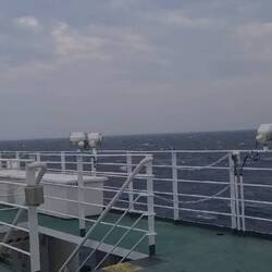 Bizeli stürmisch 😵‍💫