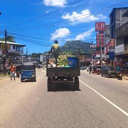 Entspannte Müllabfuhr