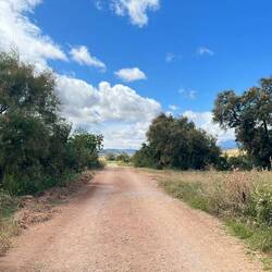 The road to los Arcos