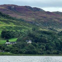 Heather topped hills