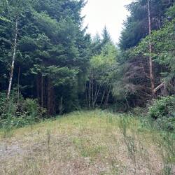 Das war meine Umleitung