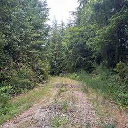 Das war meine erste eigentliche Strecke