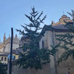 Granada Cathedral