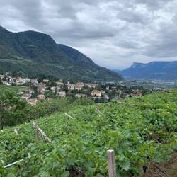 Gleich noch direkter Abstieg nach Meran