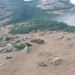 Monkeys in the mountains