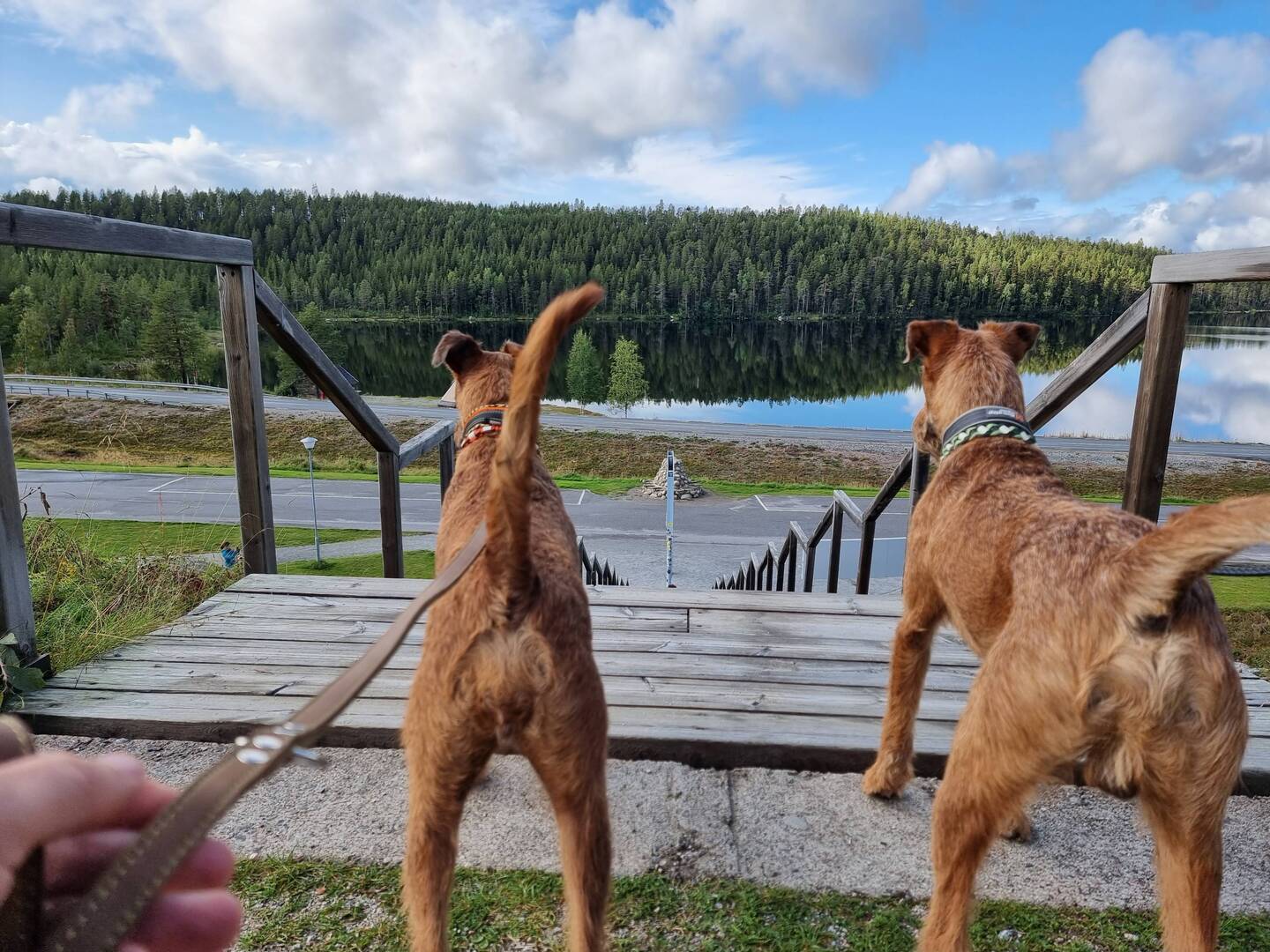 Einer links und einer rechts vom Polarkreis