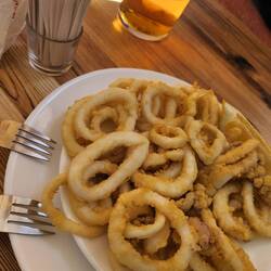Fried Calamari