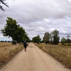 The Roman road. Spot the cobblestones and Cyprus trees? Me either