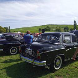 Sachsenring Limousinen,  Cabrio und Kombi