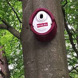 Da wohnen also Verena und Rio.