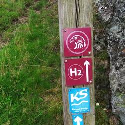 2. Wechsel vom Kassel- auf den Habichtswaldsteig