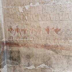Reliefe in Saqqara