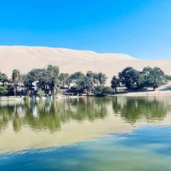 Die Magie hört nicht auf