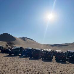 Da warten sie auf uns