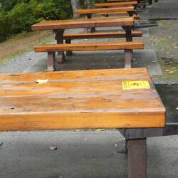 viele Picknick Tische am Alice Lake