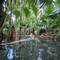 Zebedee thermal springs. Wonderful