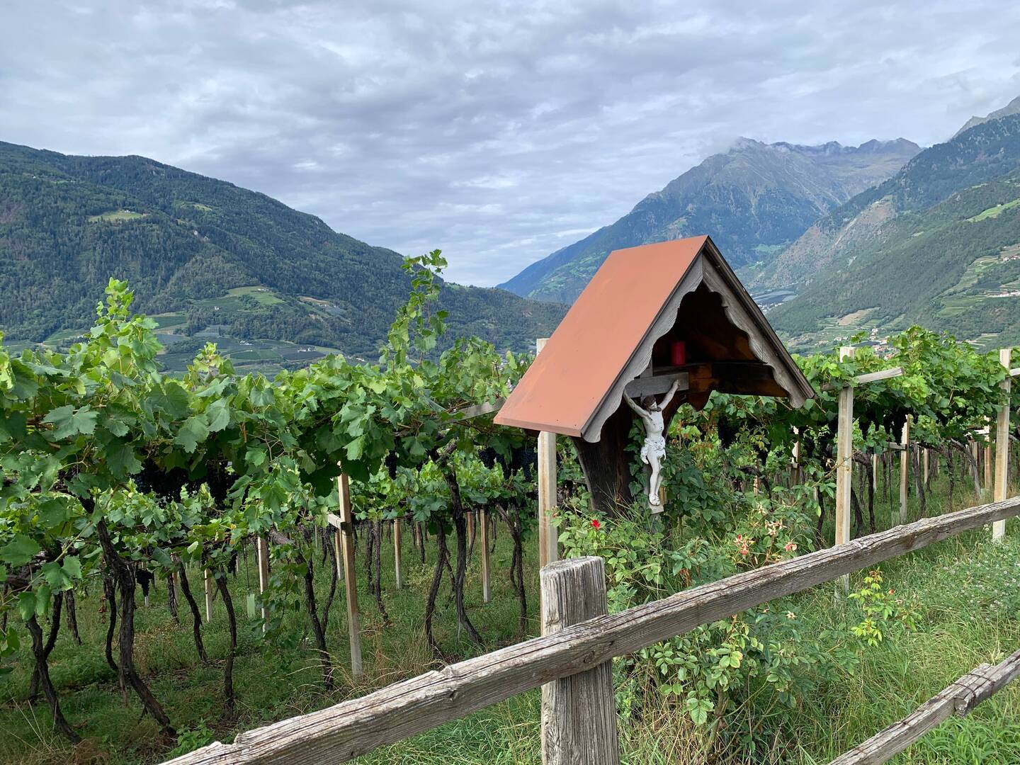 Gnaidweg