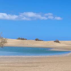 Lagune in den Sanddünen - Naturschutzgebiet