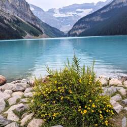 Lake louise