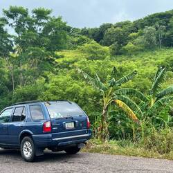 Die letzten Kilometer in Honduras durch unberührte Landschaften 🌴🌱🪻