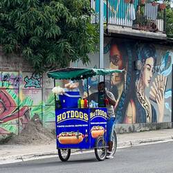 An diesem wundervoll bemalten Haus fährt gerade ein Hot-Dog-Verkäufer vorbei 🌭