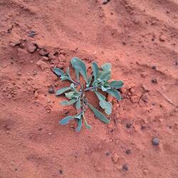 Krasser Farbkontrast!