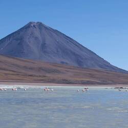 Laguna Blanca und Licancabur
