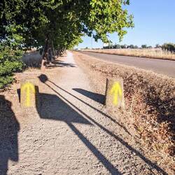 Nice shade on our path today