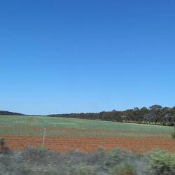 The start of the cropping.