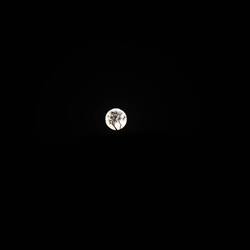 Der Baum im Mond