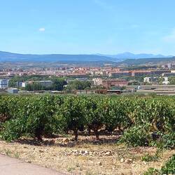 Coming into Logrono.