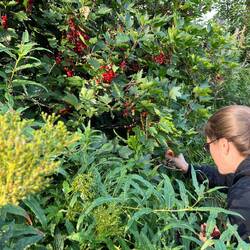 Absolue Fülle, Hungerstillend in dem Moment