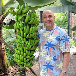 Bananenstaude... super 🍌😜👍