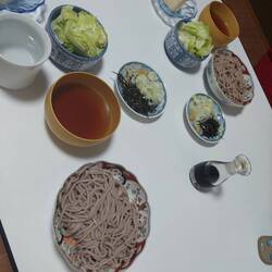 Soba with dashi, wasabi, nori, ginger, tofu and salad