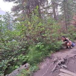 Kelly beim Tierelauern, gestört von gleich ankommenden Wanderern.