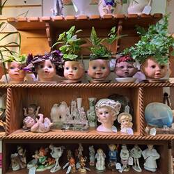 Unser Einkaufbedürfnis mussten wir arg unterdrücken.