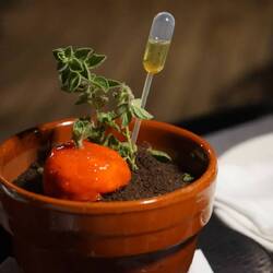 Vorspeise Dany vorher