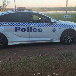 Locals patrolling the caravan park