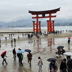 Das Torii Nachmittags bei Ebbe