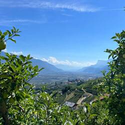 Blick Richtung Bozen