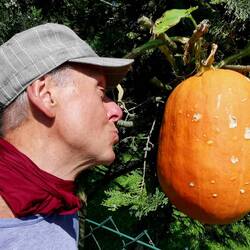 Felt in love with a pumpkin 😍😅🤷‍♂️!