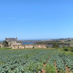 Dahinter liegt unser Campingplatz.