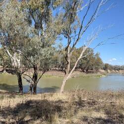 Mays Bend NSW
