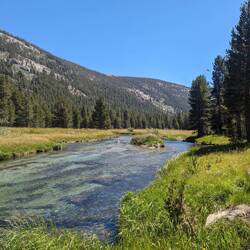 Tuolumne Meadows
