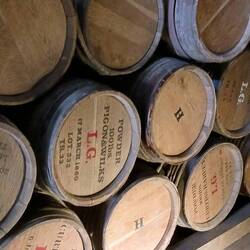 Powder kegs, thought they were baby wine kegs at first😅