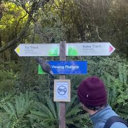 Kākā and Lucas